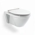 Wandtoilet van keramiek met softclose zitting in wit 50 x 35 x 40cm